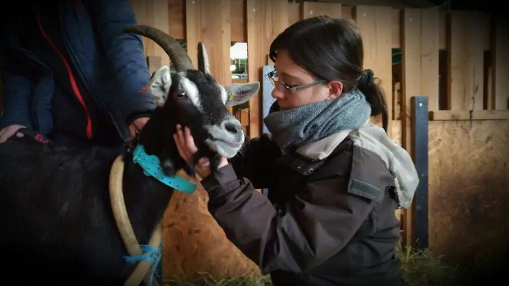 Céline Ollier - Ostéopathe animalier