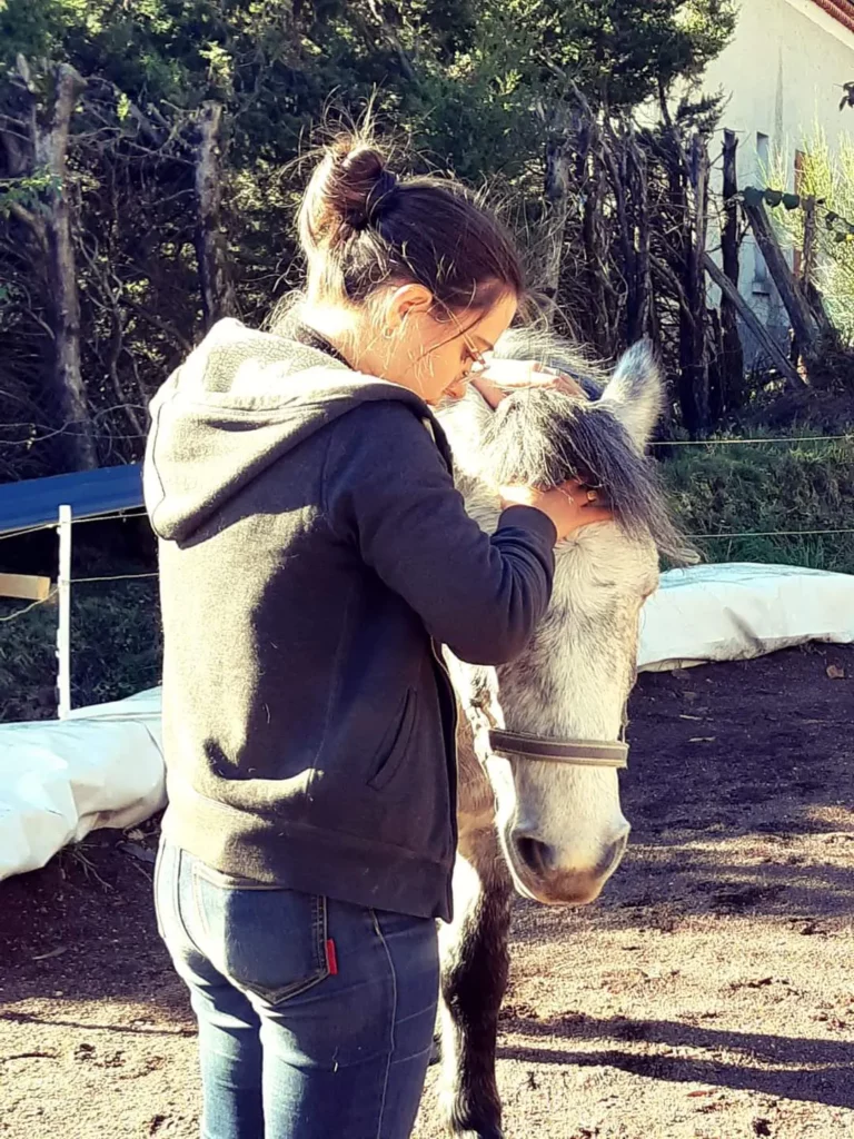 Céline Ollier - Ostéopathe animalier