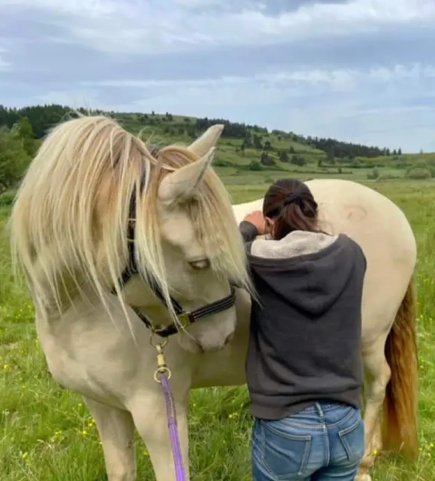 Ostéopathie et dentisterie