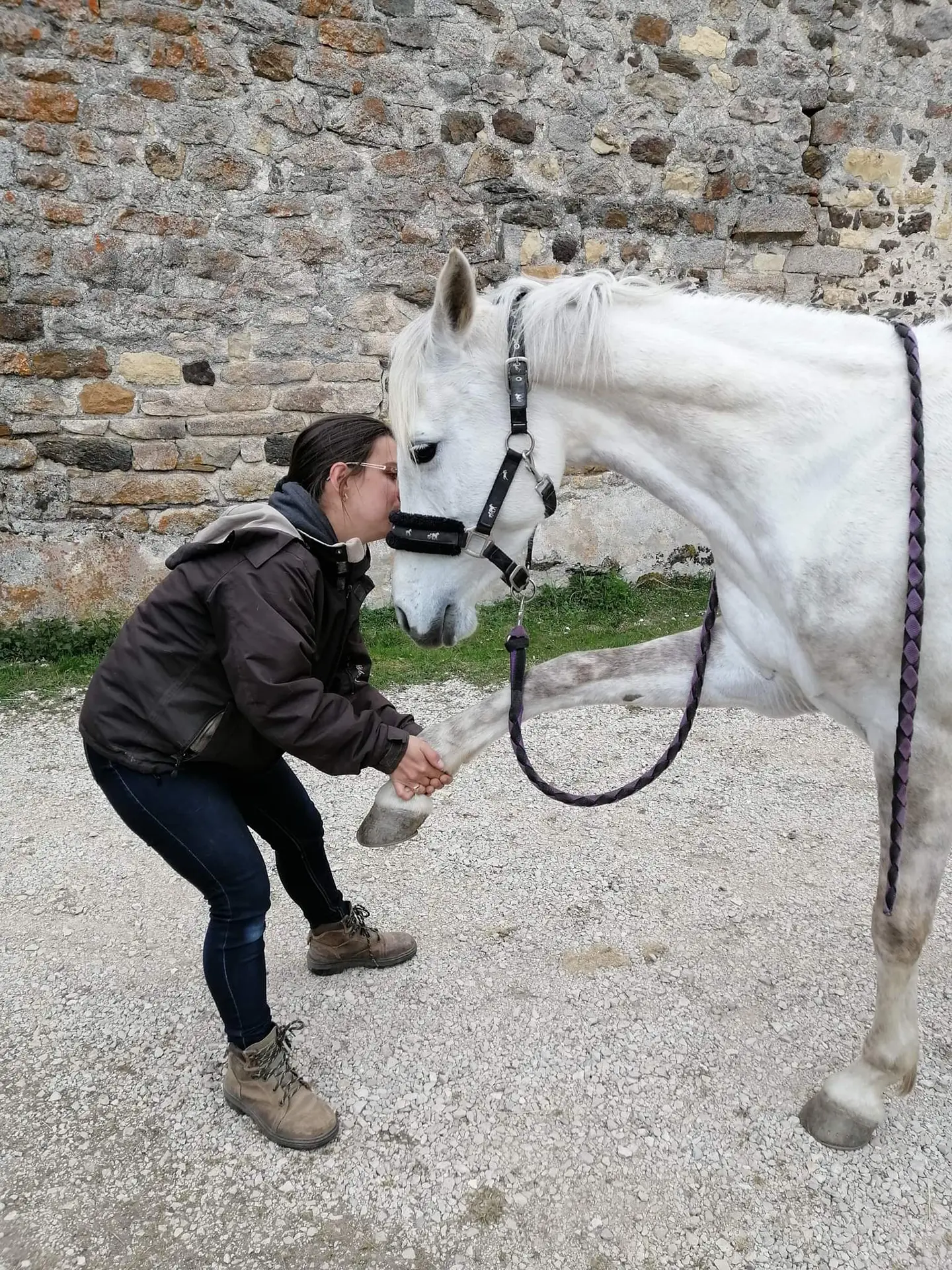 Céline Ollier - Ostéopathe animalier