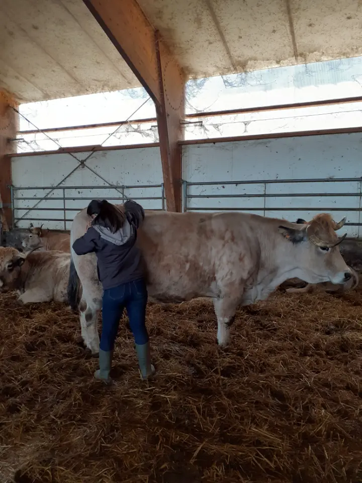 Céline Ollier - Ostéopathe animalier