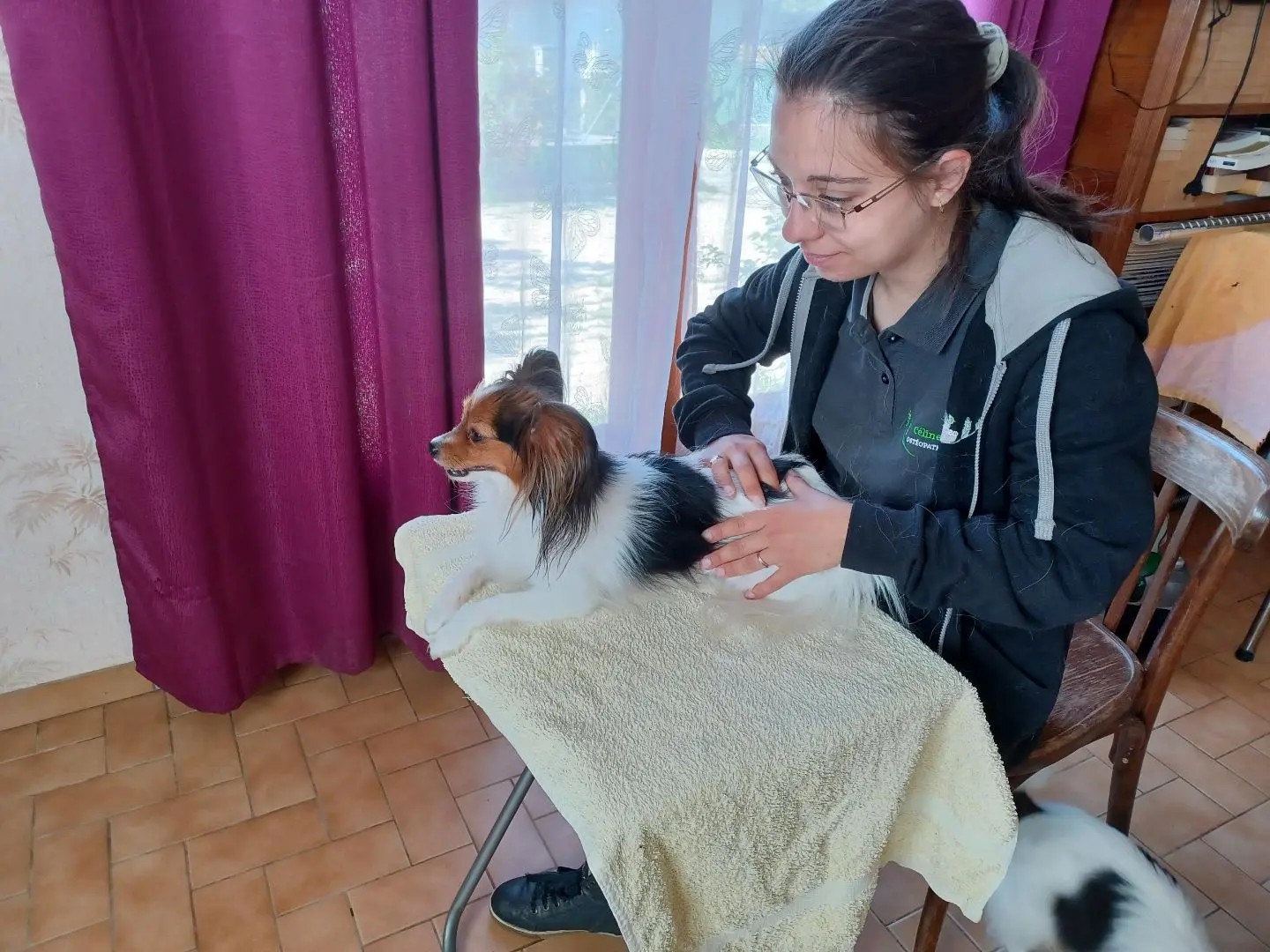 Céline Ollier - Ostéopathe animalier