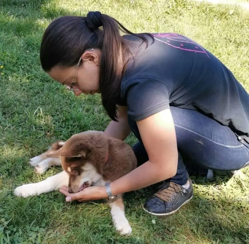 Céline Ollier - Ostéopathe animalier
