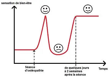 Effet rebond après une séance - Céline Ollier - Ostéopathe animalier
